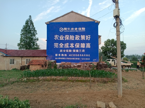 南部墙体广告的优劣势你知道吗？